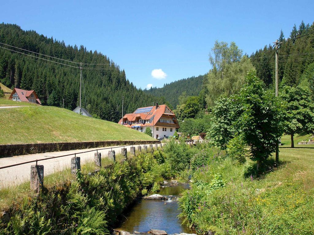 Gastehaus Herrmann Bad Rippoldsau-Schapbach Zewnętrze zdjęcie